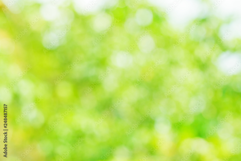 Natural blurred summer background (abstract, bokeh)