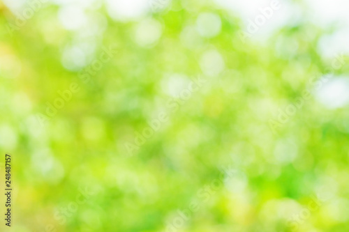 Natural blurred summer background (abstract, bokeh)