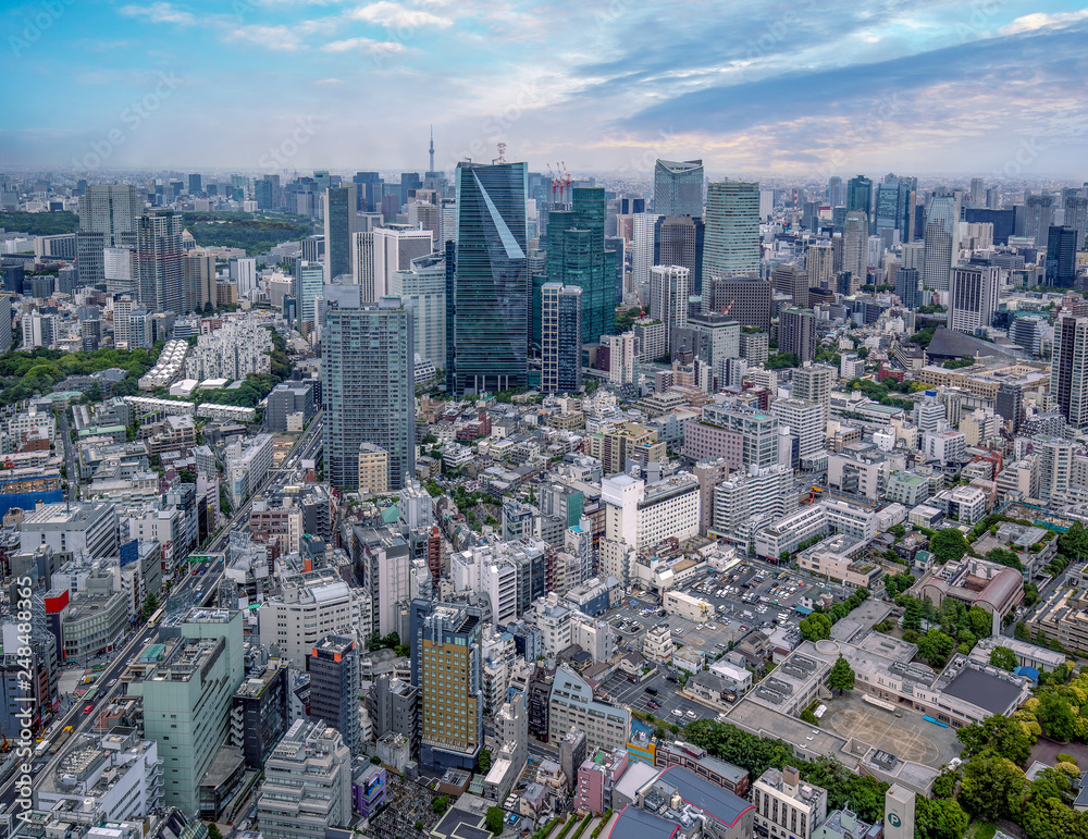 Fototapeta premium aerial view of financial district in Tokyo