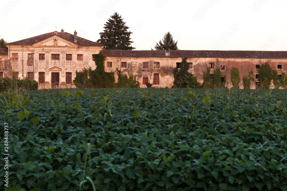 Obraz premium Old venetian villa in Palladio style near Vicenza