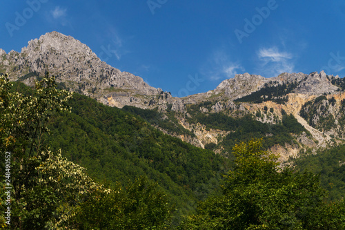 Wooded mountains with rocky peaks, Montenegro