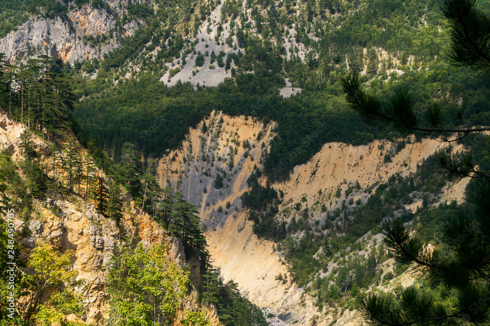 Picturesque wooded mountains in the canyon of the river Tara, Montenegro