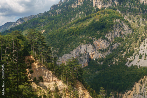 Picturesque wooded mountains in the canyon of the river Tara, Montenegro