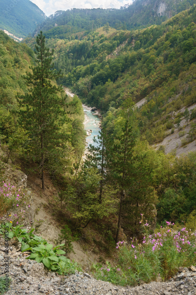 Picturesque wooded mountains in the canyon of the river Tara, Montenegro Picturesque wooded mountains in the canyon of the river Tara, Montenegro