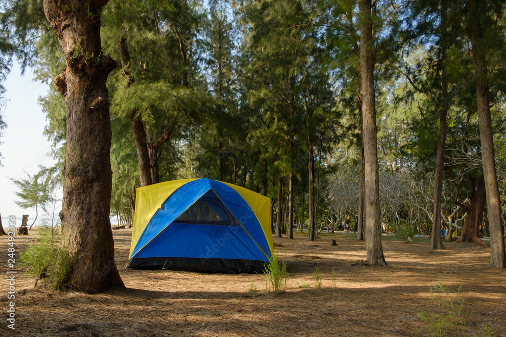 Spread the seaside tent for a relaxing holiday,camping under  tree
