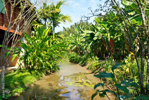 canal d irrigation rizi  re