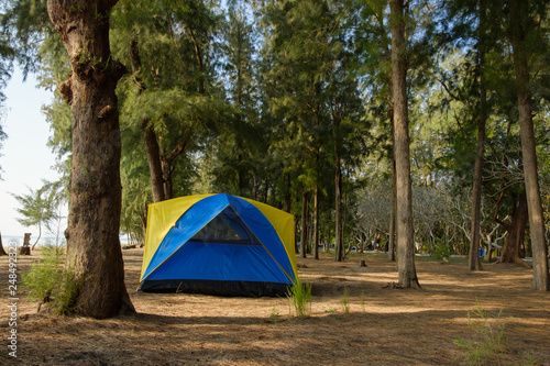 Spread the seaside tent for a relaxing holiday camping under  tree