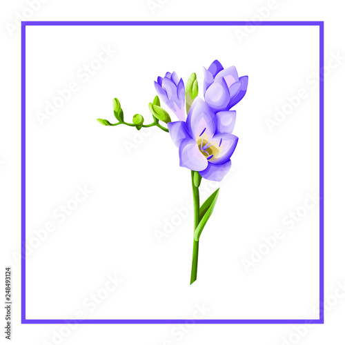 bouquet of spring flowers