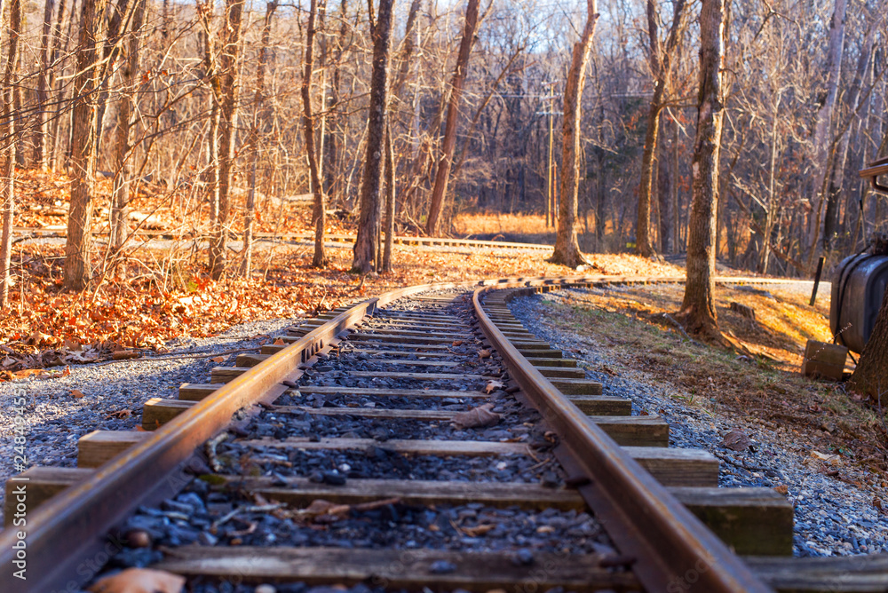 Fototapeta premium old railway in forest