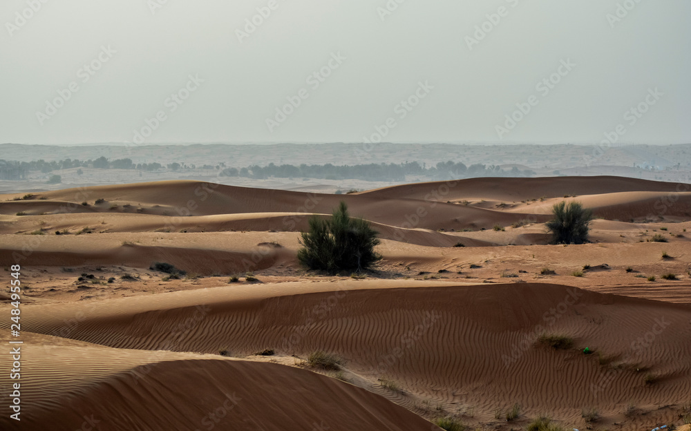 view of the desert