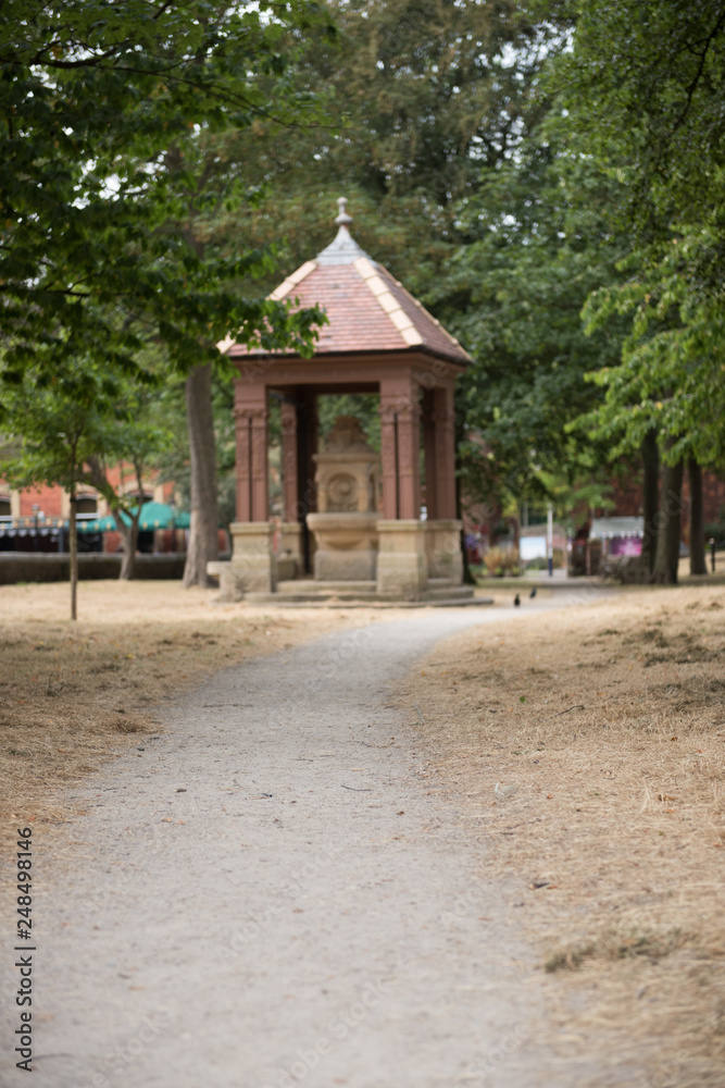 Fototapeta premium A dry dying grass section in an urban park in england. Lack of rain causes grass to die. Water drought in europe. dusty and desolate.