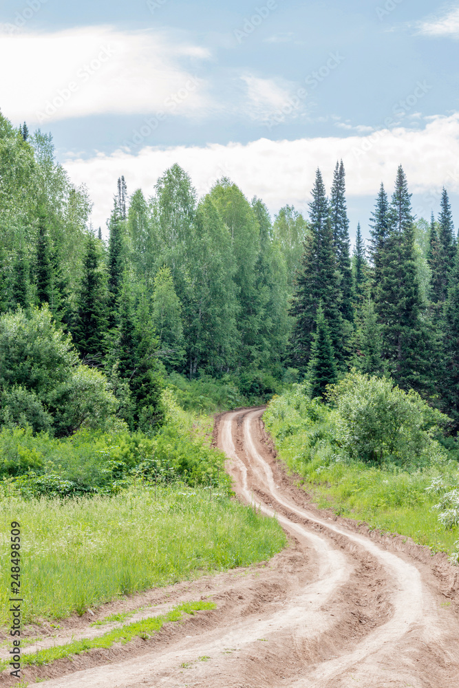 Summer landscape with old road. Rural Summer landscape with old road. Rural