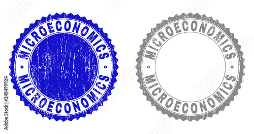 Grunge MICROECONOMICS stamps isolated on a white background. Rosette seals with grunge texture in blue and grey colors. Vector rubber stamp imitation of MICROECONOMICS label inside round rosette. photo