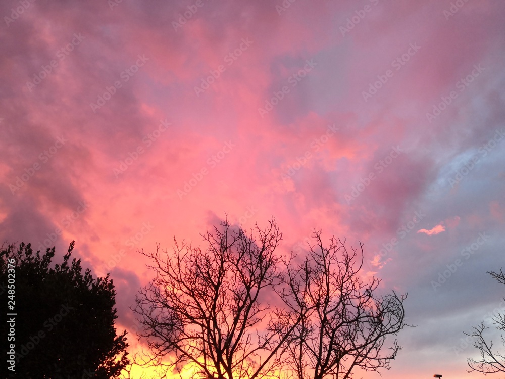 Fototapeta premium nuages roses