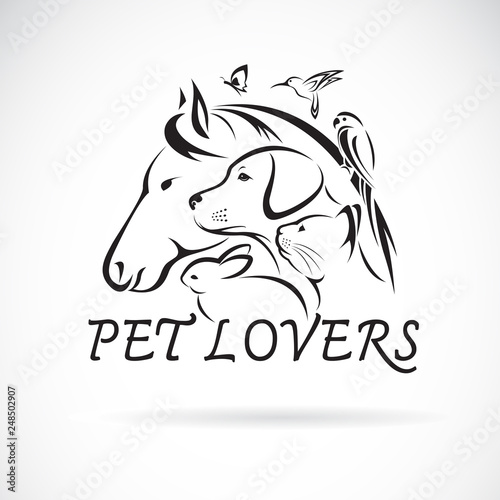 Vector group of pets - Horse, Dog, Cat, Humming bird, Parrot, Butterfly, Rabbit isolated on white background. Pet Icon or logo, Easy editable layered vector illustration.