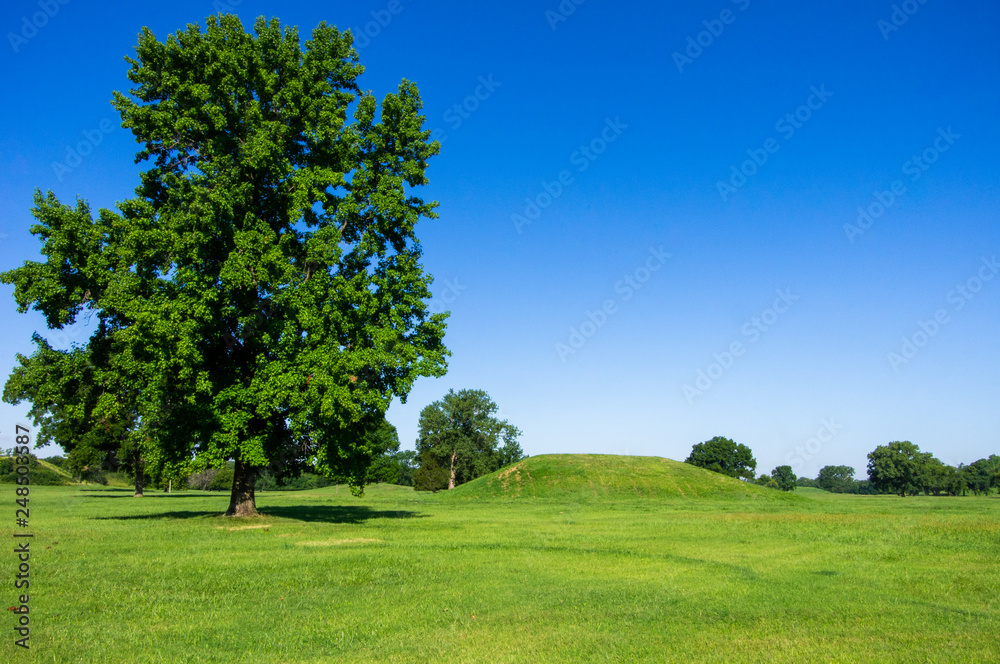 Blue sky behind large tree and man made hill at the Cahokia Mounds the remains of the largest Pre-Columbian city north of Mexico Blue sky behind large tree and man made hill at the Cahokia Mounds the remains of the largest Pre-Columbian city north of Mexico
