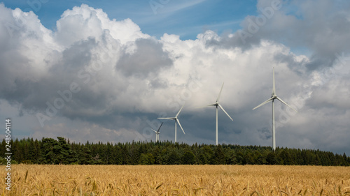 Éoliennes au dessus d'un champ de blé en Lozère photo