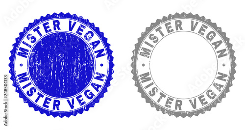 Grunge MISTER VEGAN stamp seals isolated on a white background. Rosette seals with distress texture in blue and gray colors. Vector rubber stamp imitation of MISTER VEGAN text inside round rosette.