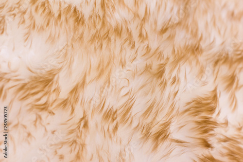 Long-haired fur texture