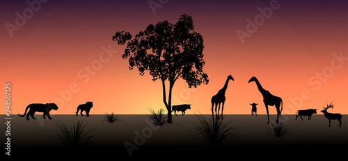 Vector, the shadow of an African animal in the evening.