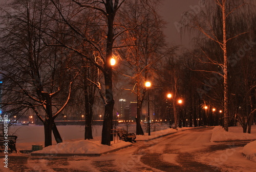 Night winter landscape in the alley with lantern and bench of city park © Vasilii