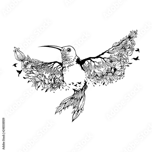 vector illustration hummingbird with floral