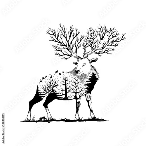 vector illustration of a deer with forest background