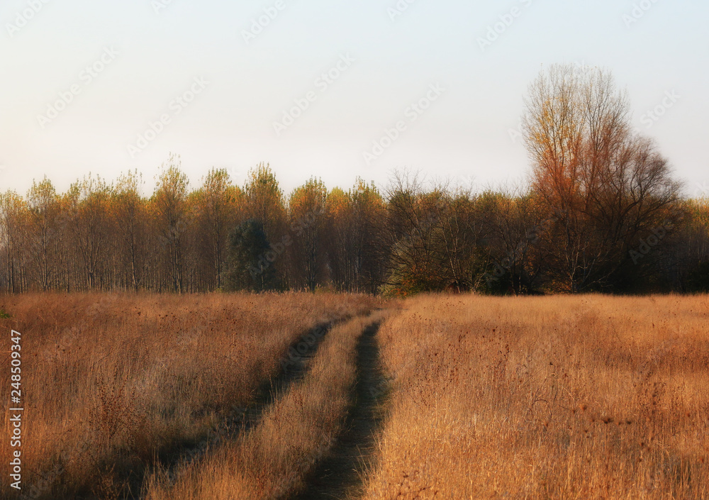 Beautiful Fall scene on curved unpaved road Beautiful Fall scene on curved unpaved road