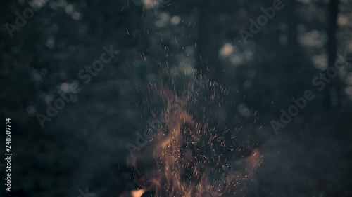 Campfire with sparks in nature at blue hour.