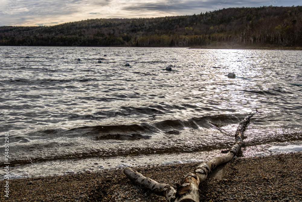Fototapeta premium The pond from the shoreline at dusk, Barachois Pond Provincial Park, Newfoundland, Canada