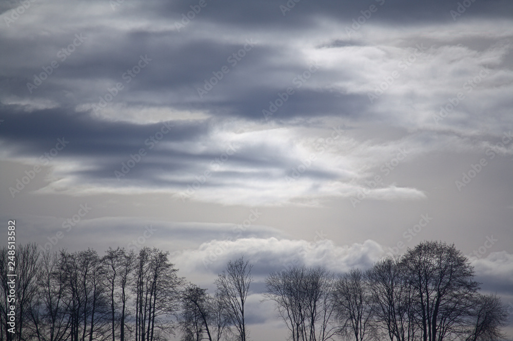 winter landscape with trees and clouds