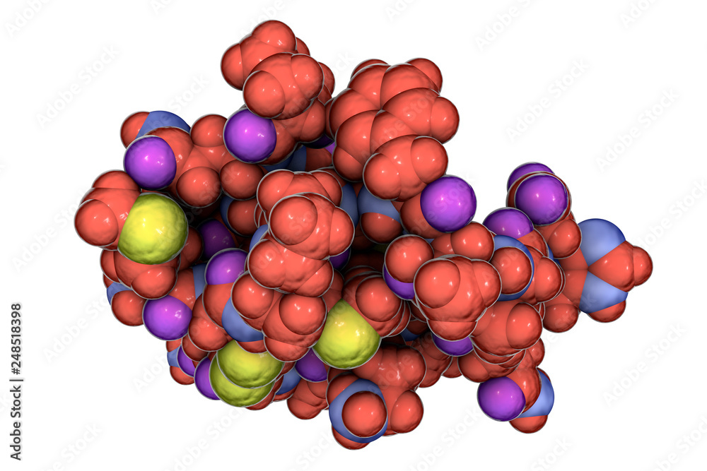 Molecule of scorpion chlorotoxin, 3D illustration. A peptide from venom ...