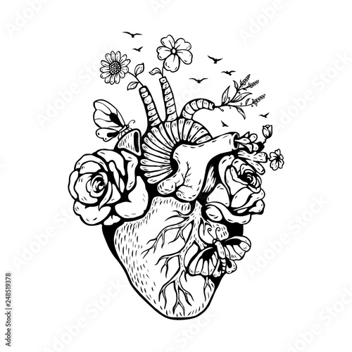 Illustration Anatomical heart with forest fires