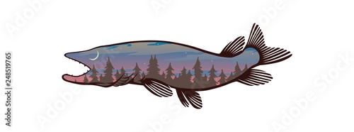 pike fish image
