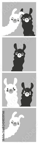 Set of cartoon pictures, images, photography with llama black and white color. Gray background. Vector illustration. Flat design.