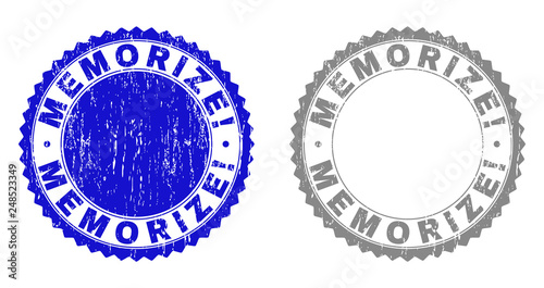 Grunge MEMORIZE! stamp seals isolated on a white background. Rosette seals with distress texture in blue and gray colors. Vector rubber stamp imitation of MEMORIZE! text inside round rosette.