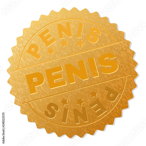 PENIS gold stamp badge. Vector gold award with PENIS text. Text labels are placed between parallel lines and on circle. Golden surface has metallic effect.