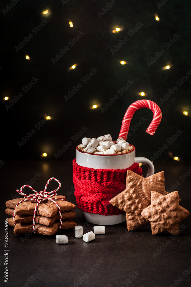 Hot Chocolate with Gingerbread Cookies