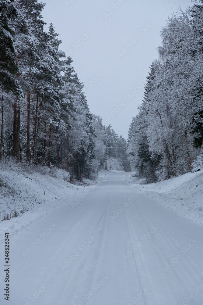 Obraz premium Winter road through spruce forest
