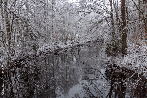 Watercourse through a snowy deciduous forest