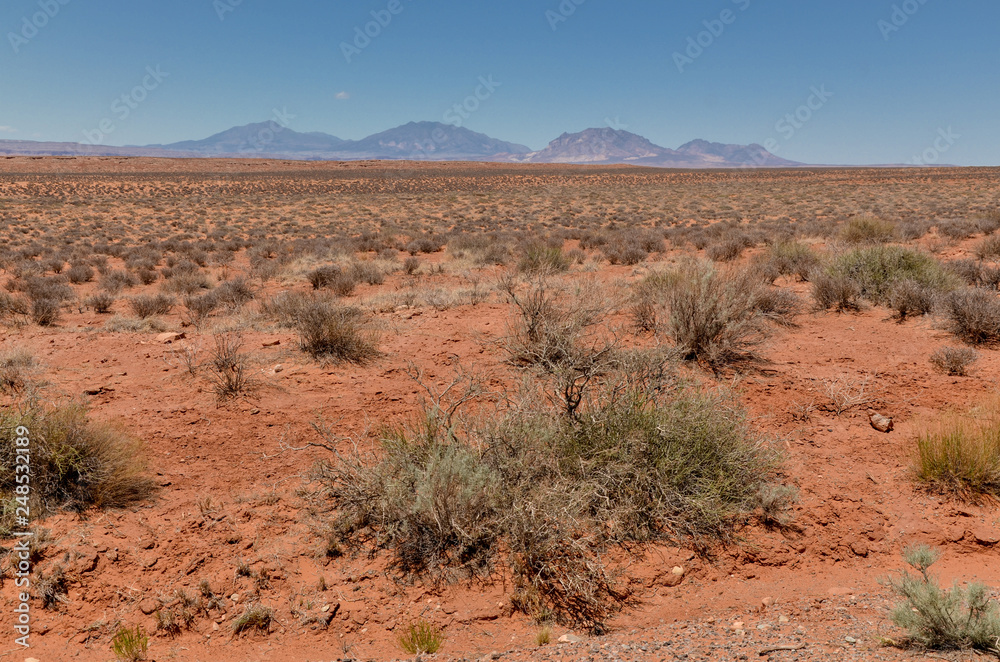 scenic view  of Henry Mountains from the sandy desert of southern Utah