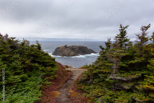 Beautiful landscape view of a Rocky Atlantic Ocean Coast during a cloudy day. Taken in Sleepy Cove, Crow Head, Twillingate, Newfoundland, Canada.