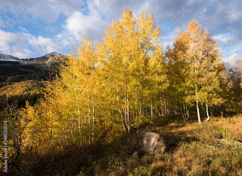 Early Morning Autumn Colors at Lost Lake Slough with East Beckwith Peak, Colorado. photo