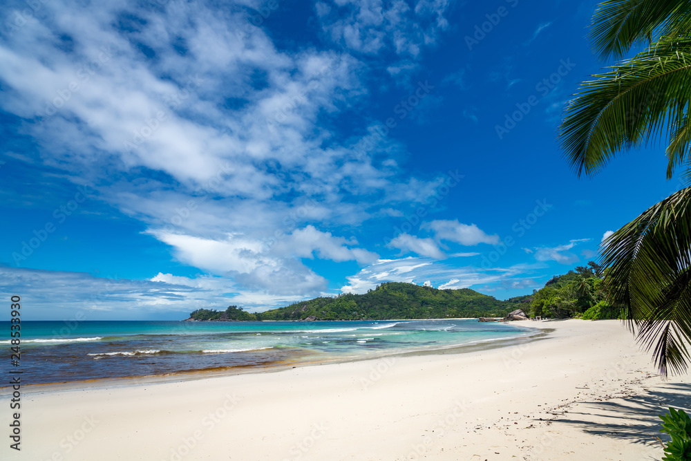 Beautiful beach. View of nice tropical beach with palms around. Holiday and vacation concept. Tropical beach. Beautiful beach. View of nice tropical beach with palms around. Holiday and vacation concept. Tropical beach.