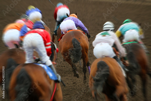 Canvas Print Horse racing action from behind