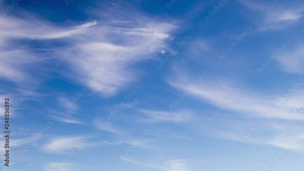 Plumose clouds in the blue sky, time lapse. Plumose clouds in the blue sky, time lapse.