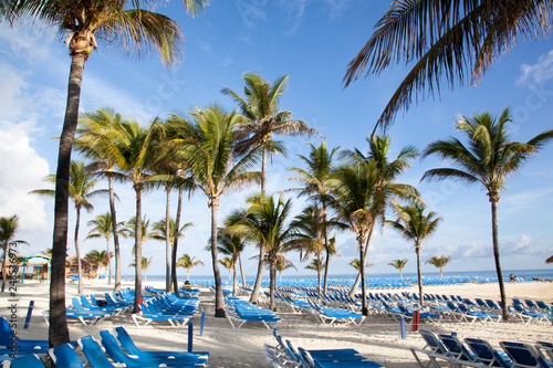 Caribbean Island Morning Beach