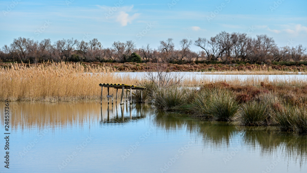 Fototapeta premium Parc ornithologique pont de Gau - paysage de Camargue 