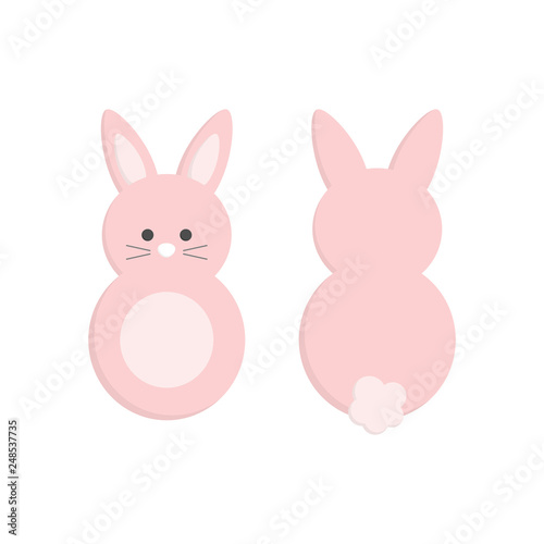 Cute Easter bunny from front and back view, isolated. Pink easter bunny vector graphic illustration icons.