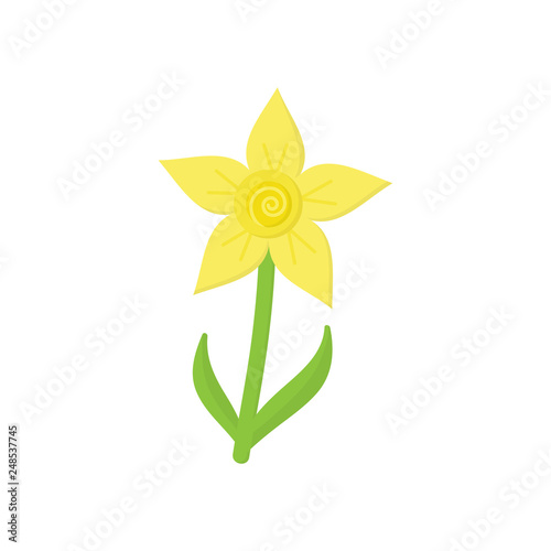 Narcissus flower vector illustration. Simple yellow spring narcissus flower icon with green stem and leaves, isolated.